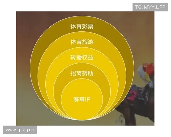 开云体育网页版最新功能更新与操作技巧，提升你的体育娱乐体验