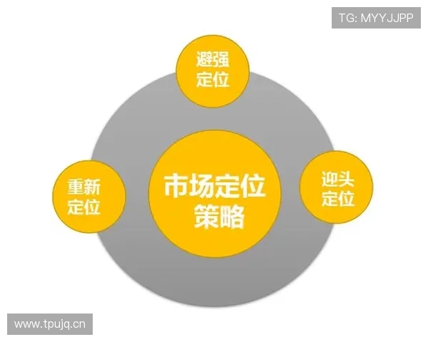 星城we旗舰网站品牌建设与市场推广策略分析 星城we旗舰网站品牌建设与市场推广策略分析