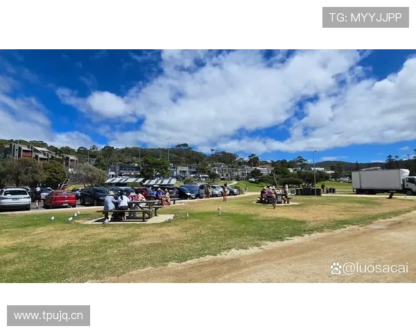 悉尼国际娱乐：探索悉尼多样化的娱乐设施与创新娱乐方式