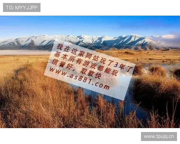 利来游戏官网技术保障，确保游戏运行稳定流畅