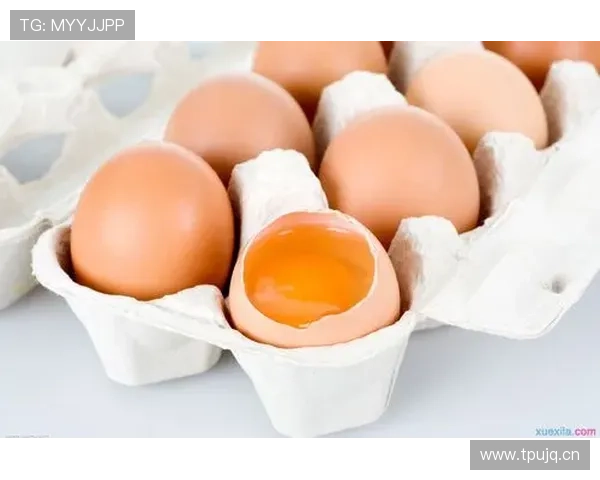 南宫NG备用平台与主平台的区别分析，帮助用户选择最优备用方案