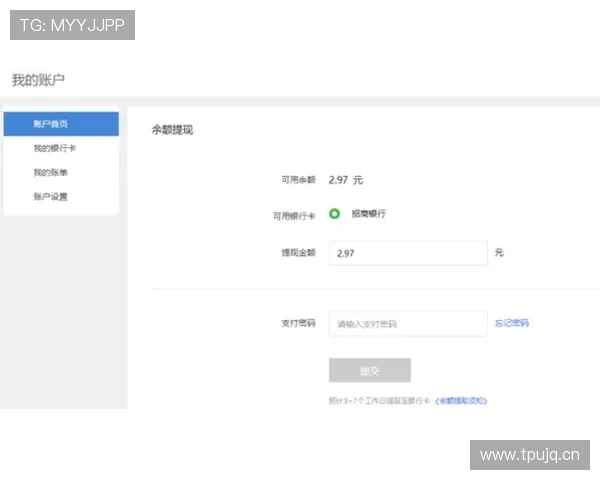 南宫国际娱乐支付方式多样化支持多平台快速充值与提现操作指南 南宫国际娱乐支付方式多样化支持多平台快速充值与提现操作指南