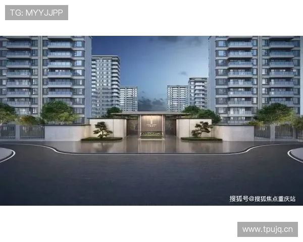 南宫壹号官方平台最新公告与活动信息全面解析