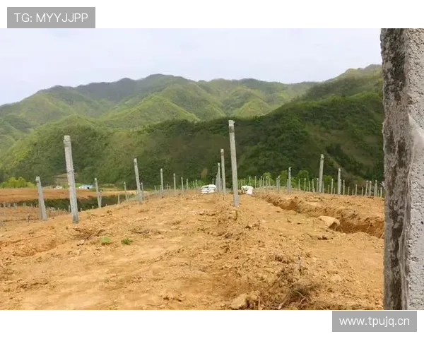 南宫线上官网最新活动预告，丰富奖励等你来领取