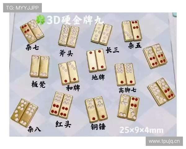 提升牌九胜负技巧的关键要点及实用技巧详解助你成为牌九高手