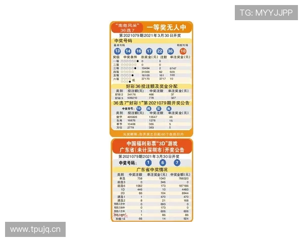 数字型彩票安全性分析及购买流程指南帮助新手玩家快速入门